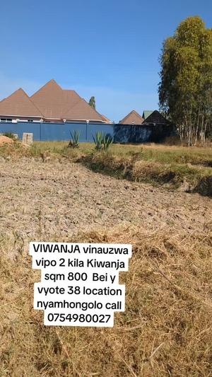 Kiwanja kinauzwa Nyamhongolo, Mwanza sqm 1600 Kiwanja kinauzwa Nyamhongolo, Mwanza sqm 1600