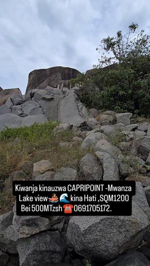 Kiwanja kinauzwa Capri Point, Mwanza sqm 1200 Kiwanja kinauzwa Capri Point, Mwanza sqm 1200