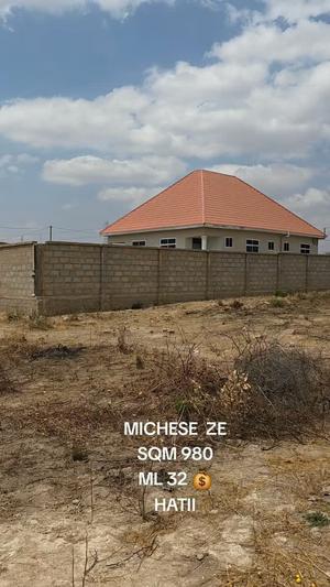 Kiwanja kinauzwa Dodoma Mjini Micheze (980 sqm)