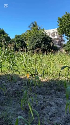 Kiwanja kinauzwa Bahari Beach, Dar Es Salaam sqm 3000