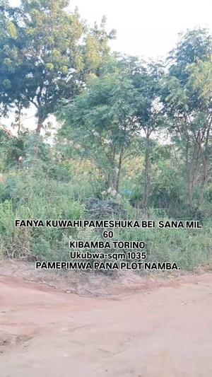 Commercial Plot for Sale in Kibamba Shule Torino, Dar Es Salaam (1035 sqm) Commercial Plot for Sale in Kibamba Shule Torino, Dar Es Salaam (1035 sqm)
