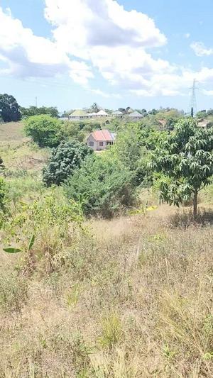 Kiwanja kinauzwa Kinyerezi Kibaga B, Dar Es Salaam (500 sqm) Kiwanja kinauzwa Kinyerezi Kibaga B, Dar Es Salaam (500 sqm)