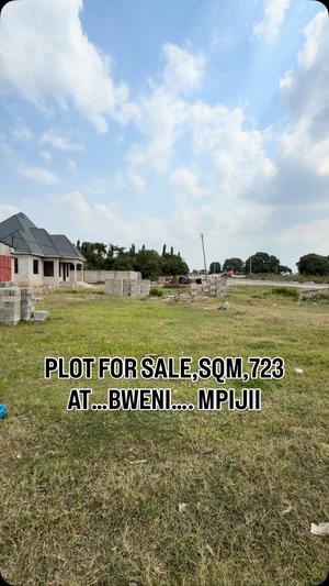 Kiwanja kinauzwa Bweni Mpiji, Tanga (723 sqm) Kiwanja kinauzwa Bweni Mpiji, Tanga (723 sqm)