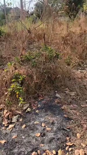 Kiwanja kinauzwa Mjimwema, Ruvuma