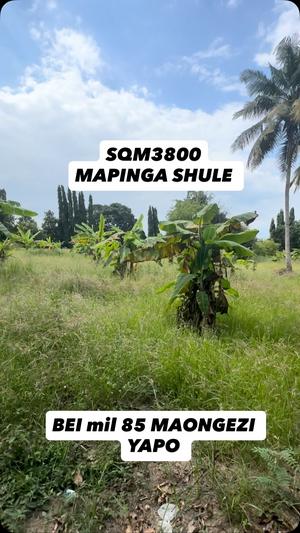 Residential Plot for Sale in Mapinga Shule, Pwani (3800 sqm) Residential Plot for Sale in Mapinga Shule, Pwani (3800 sqm)