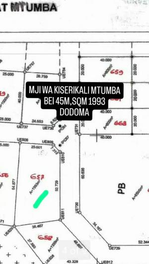 Residential Plot for Sale in Mtumba, Dodoma (1993 sqm)
