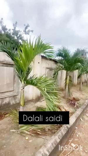 Nyumba/Apartment ya chumba kimoja inapangishwa Tabata Segerea Magereza, Dar Es Salaam Nyumba/Apartment ya chumba kimoja inapangishwa Tabata Segerea Magereza, Dar Es Salaam
