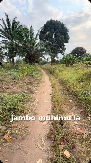 Shamba linauzwa Mwarusembe, Pwani (1 acre) Shamba linauzwa Mwarusembe, Pwani (1 acre)