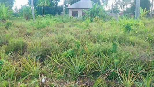 Kiwanja kinauzwa Kiwangwa, Pwani sqm 400