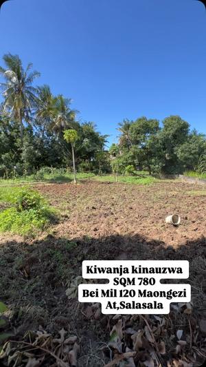 Residential Plot for Sale in Salasala, Dar Es Salaam (780 sqm) Residential Plot for Sale in Salasala, Dar Es Salaam (780 sqm)