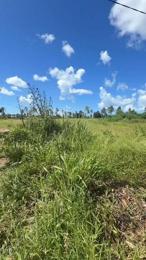 Kiwanja kinauzwa Kisota Ushuani, Dar Es Salaam (1600 sqm)