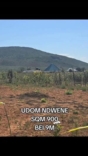 Plot for sale in Udom Ndwene, Dodoma sqm 900