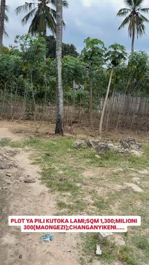 Residential Plot for Sale in Changanyikeni, Dar Es Salaam (1300 sqm) Residential Plot for Sale in Changanyikeni, Dar Es Salaam (1300 sqm)