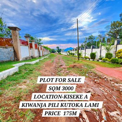 Kiwanja kinauzwa SabaSaba, Mwanza (3000 sqm) Kiwanja kinauzwa SabaSaba, Mwanza (3000 sqm)