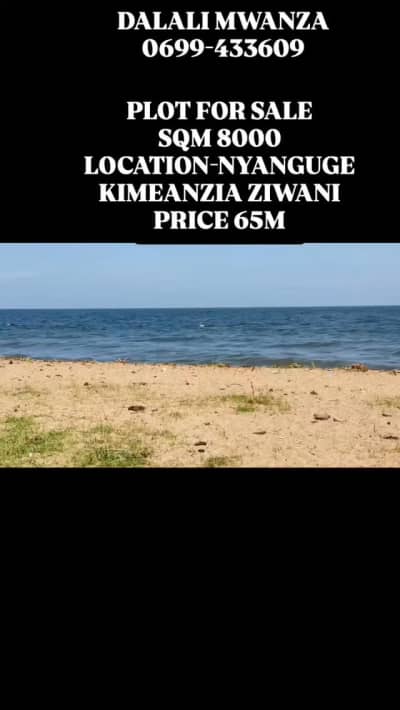 Kiwanja kinauzwa Ziwani, Mtwara Kiwanja kinauzwa Ziwani, Mtwara