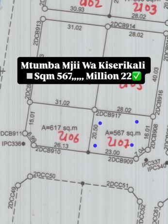 Plot for sale in Mtumba, Dodoma sqm 567