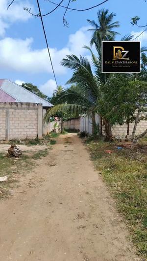 Residential Plot for Sale in Koani, Zanzibar (360 sqm) Residential Plot for Sale in Koani, Zanzibar (360 sqm)