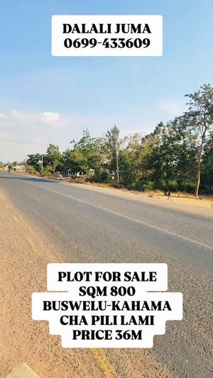 Kiwanja kinauzwa Buswelu - Kahama, Mwanza (800 sqm) Kiwanja kinauzwa Buswelu - Kahama, Mwanza (800 sqm)