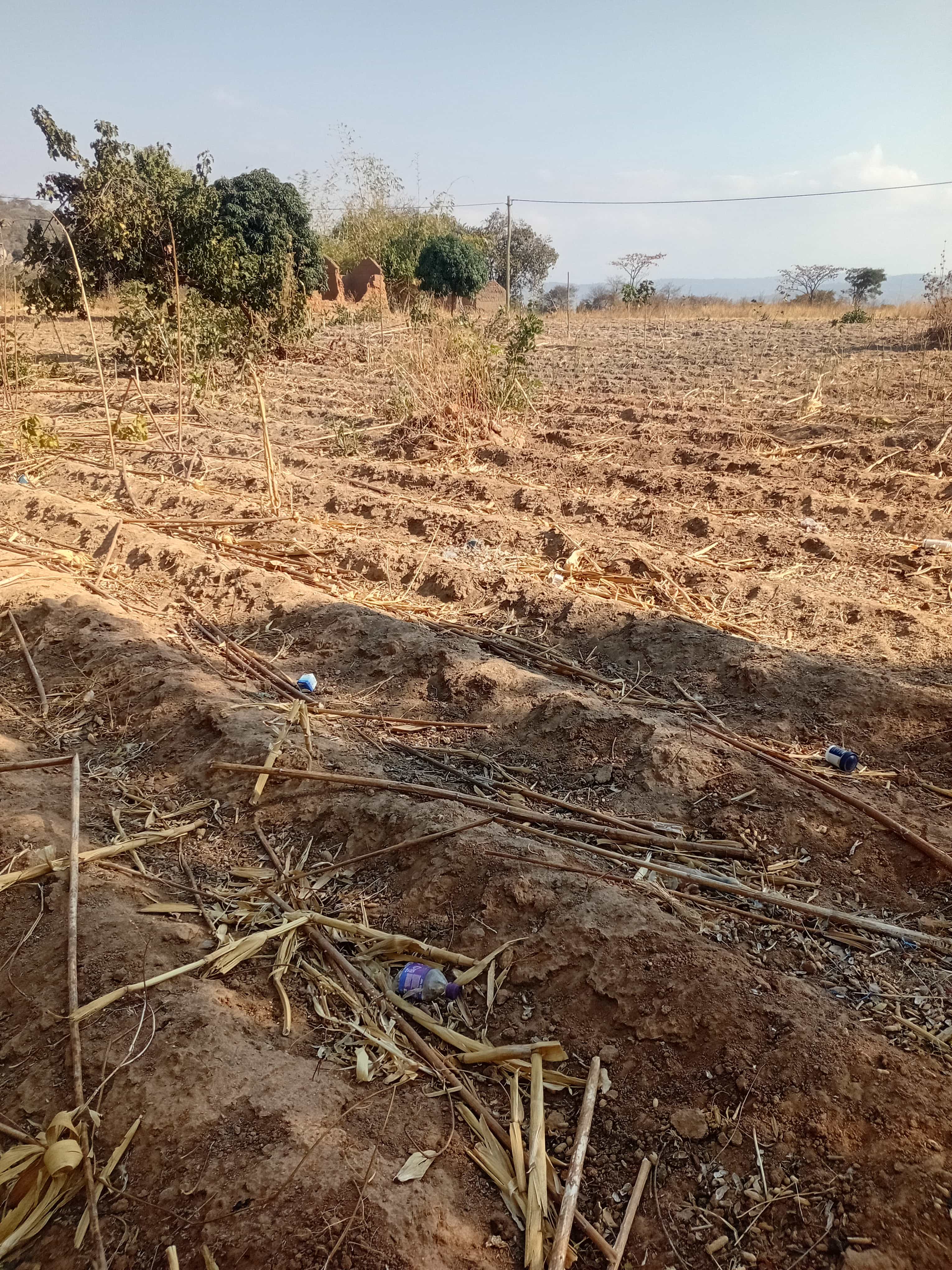 Kiwanja kinauzwa Iringa, Iringa Kiwanja kinauzwa Iringa, Iringa