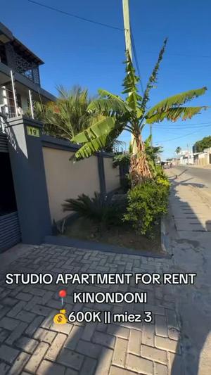 Studio Apartment for Rent in Kinondoni Mango Garden, Dar Es Salaam