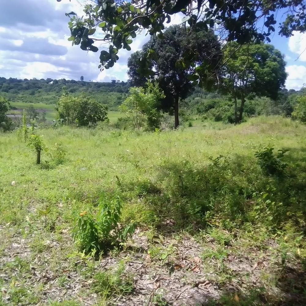 media -2