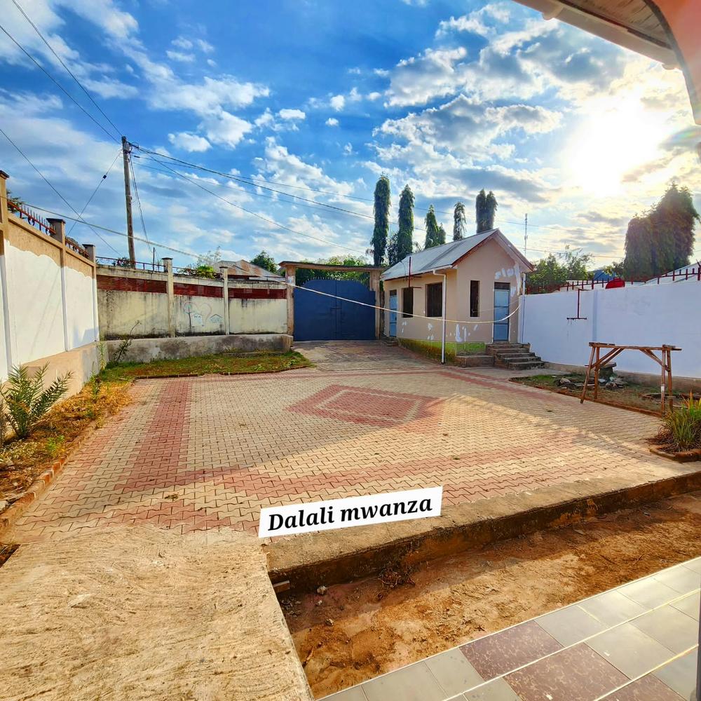 media -4 media -4