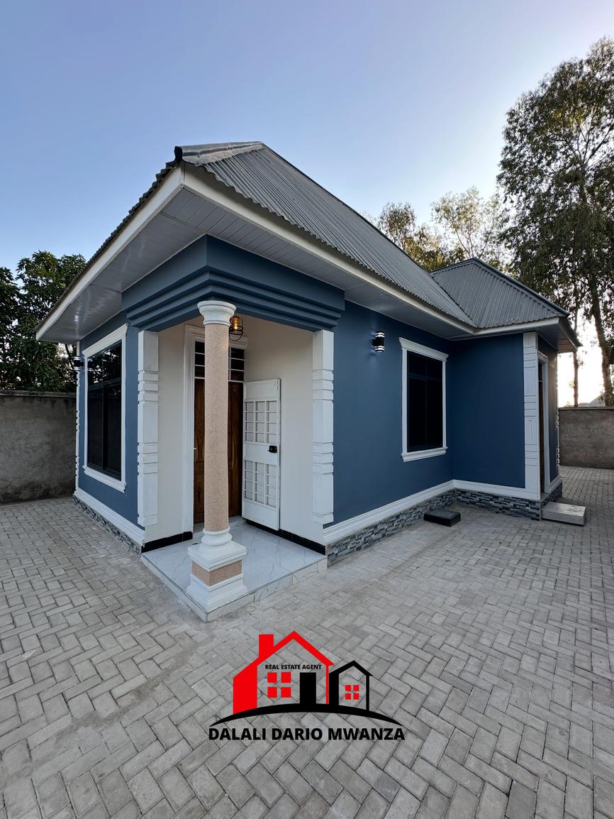 media -1 media -1
