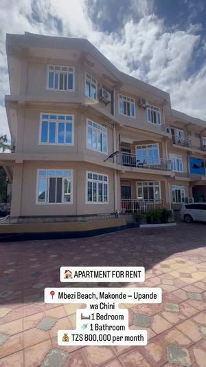 1 Bedroom Apartment for Rent in Mbezi Beach Makonde, Dar Es Salaam