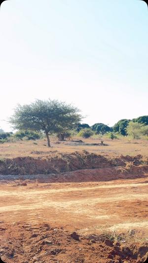 Plot for sale in Medeli, Dodoma sqm 2000 Plot for sale in Medeli, Dodoma sqm 2000