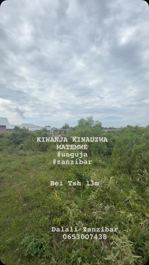 Plot for sale in Matemwe, Zanzibar sqm 560