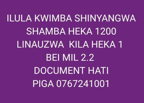 Shamba linauzwa Ilula Kwimba, Mwanza acre 1200 Shamba linauzwa Ilula Kwimba, Mwanza acre 1200