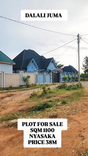 Plot for sale in Nyasaka, Mwanza sqm 1100