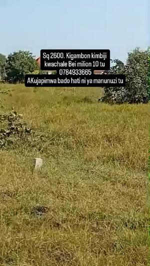 Residential Plot for Sale in Kigamboni Kimbiji, Dar Es Salaam (2600 sqm) Residential Plot for Sale in Kigamboni Kimbiji, Dar Es Salaam (2600 sqm)