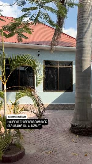 3 Bedrooms House for Rent in Mwanza 3 Bedrooms House for Rent in Mwanza
