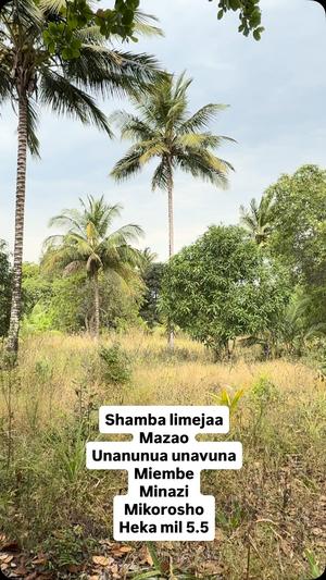 Shamba linauzwa Mwarusembe Mkuranga, Pwani (2 acre) Shamba linauzwa Mwarusembe Mkuranga, Pwani (2 acre)