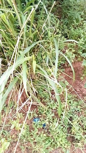 Kiwanja kinauzwa Kibamba Kwa Mangi, Dar Es Salaam sqm 380 Kiwanja kinauzwa Kibamba Kwa Mangi, Dar Es Salaam sqm 380