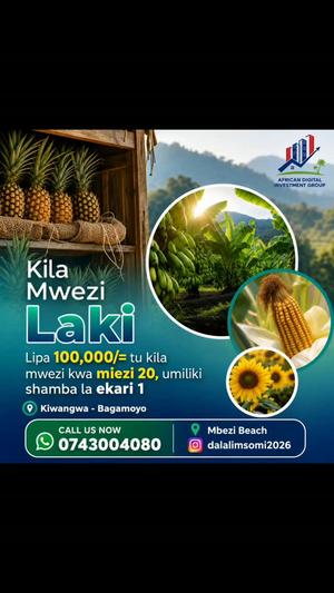 Mashamba yanauzwa Kiwangwa, Pwani Mashamba yanauzwa Kiwangwa, Pwani