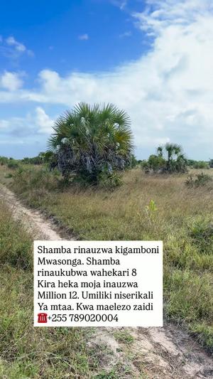 Farm for Sale in Kigamboni Mwasonga, Dar Es Salaam (8 acre)