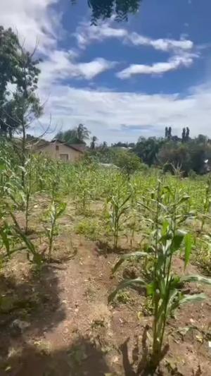 Kiwanja kinauzwa Makongo Juu, Dar Es Salaam sqm 3115