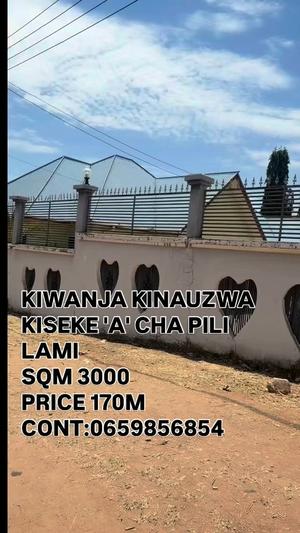 Residential Plot for Sale in Kiseke A, Mwanza (3000 sqm) Residential Plot for Sale in Kiseke A, Mwanza (3000 sqm)