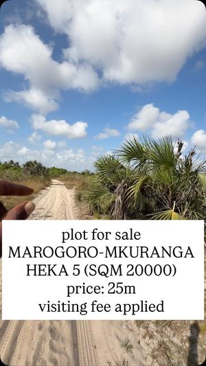 Farm for Sale in Mkuranga, Pwani (20000 sqm) Farm for Sale in Mkuranga, Pwani (20000 sqm)