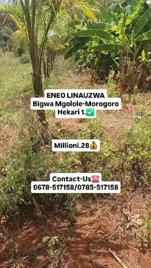 Shamba linauzwa Bigwa Mgolole, Morogoro (1 acre) Shamba linauzwa Bigwa Mgolole, Morogoro (1 acre)