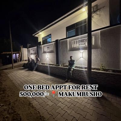 Apartment ya chumba kimoja inapangishwa Makumbusho, Dar Es Salaam Apartment ya chumba kimoja inapangishwa Makumbusho, Dar Es Salaam
