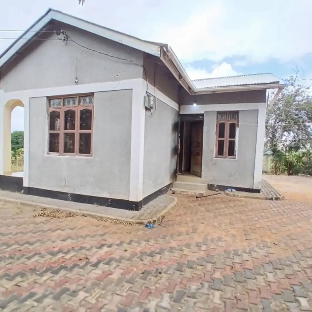 media -8 media -8