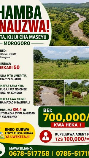 Shamba linauzwa Maseyu, Gwata, Morogoro (50 acre) Shamba linauzwa Maseyu, Gwata, Morogoro (50 acre)
