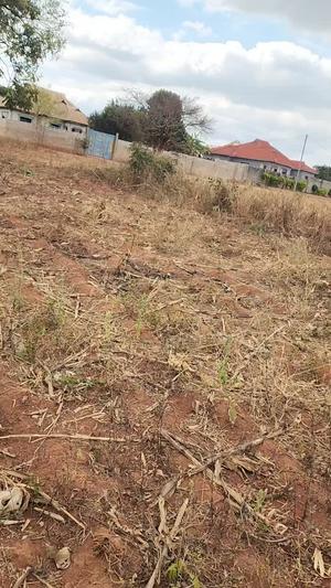 Nyumba inauzwa Mkuza, Pwani (0.5 acre) Nyumba inauzwa Mkuza, Pwani (0.5 acre)