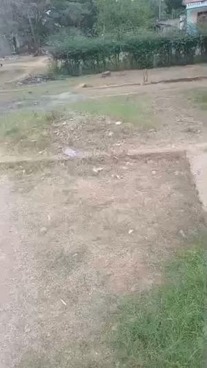 Kiwanja kinauzwa Mtwara Indian Cotarz sqm 500 Kiwanja kinauzwa Mtwara Indian Cotarz sqm 500