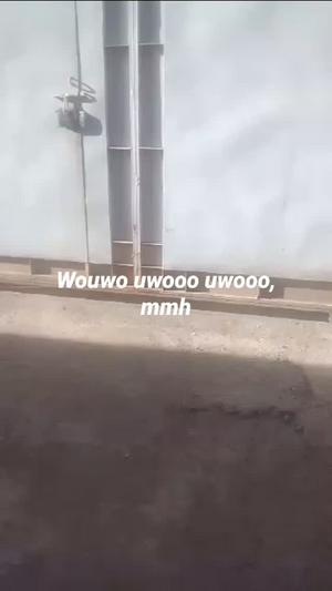 Nyumba ya chumba kimoja inapangishwa Mbiombio Sekei, Arusha Nyumba ya chumba kimoja inapangishwa Mbiombio Sekei, Arusha