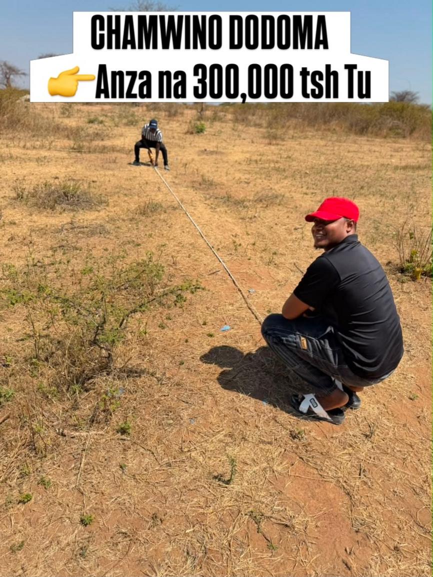 media -1 media -1