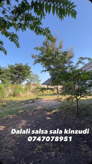 3 Bedrooms House for Sale in Goba Kinzudi, Dar Es Salaam (900 sqm)